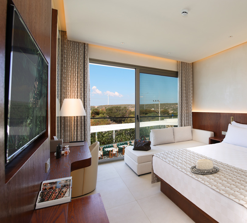 deluxe-room-gallery-3